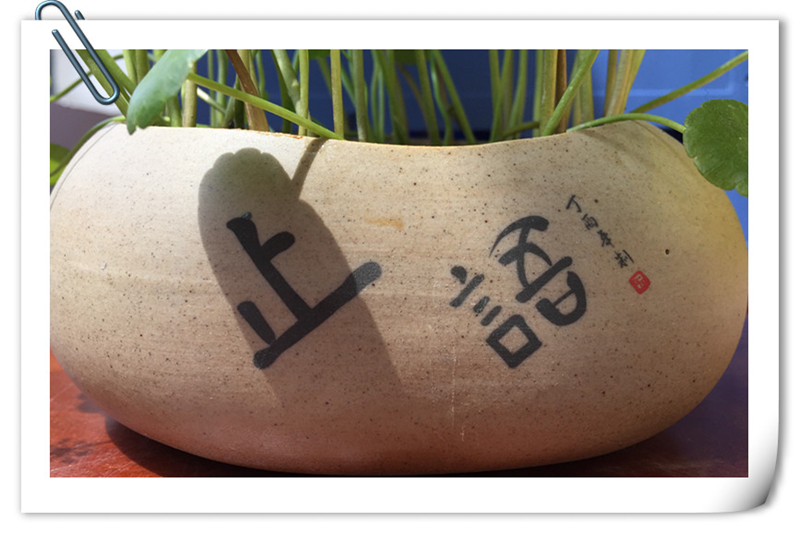 是一种佛教修行法门,又叫"闭口禅,修行之人通过止语定心,增长智慧