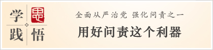 学思践悟：用好问责这个利器
