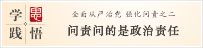 学思践悟：问责问的是政治责任