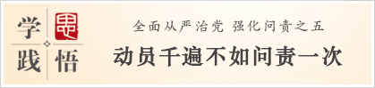 学思践悟：动员千遍不如问责一次