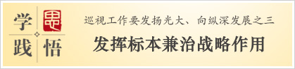 学思践悟：巡视工作要发扬光大、向纵深发展之三