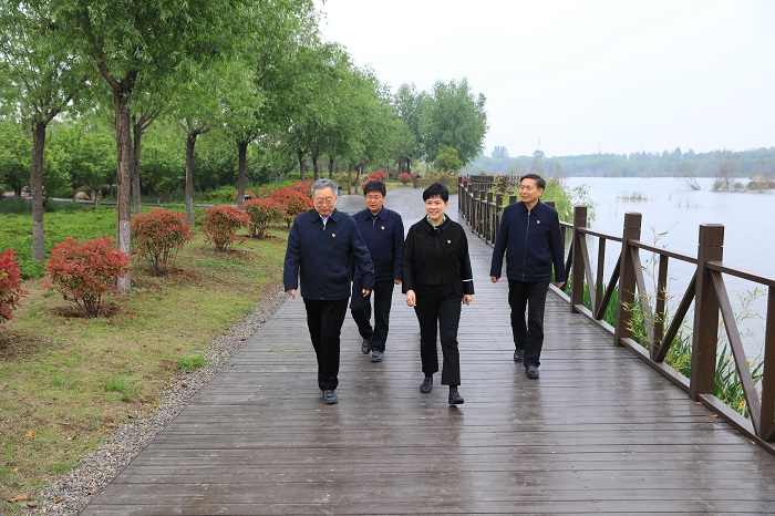 曲孝丽在洛阳调研时强调<br>持之以恒纠“四风”树新风, 不断提升作风建设治理效能