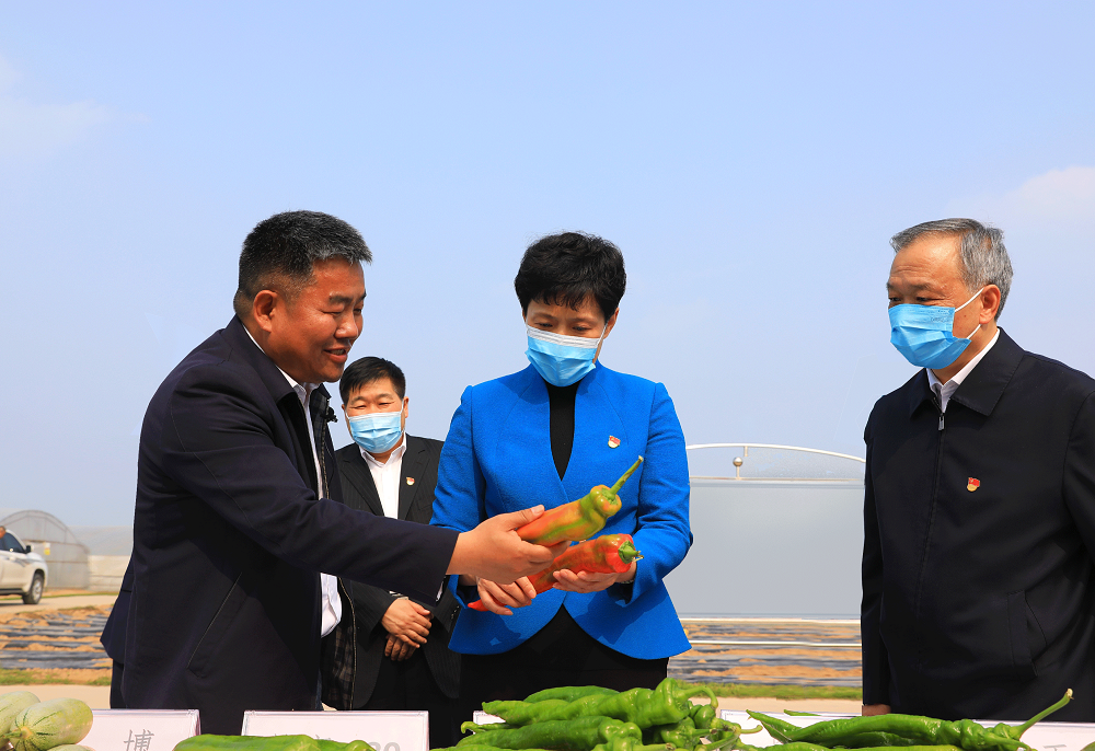把党史学习教育成果转化为推进乡村振兴的行动和举措