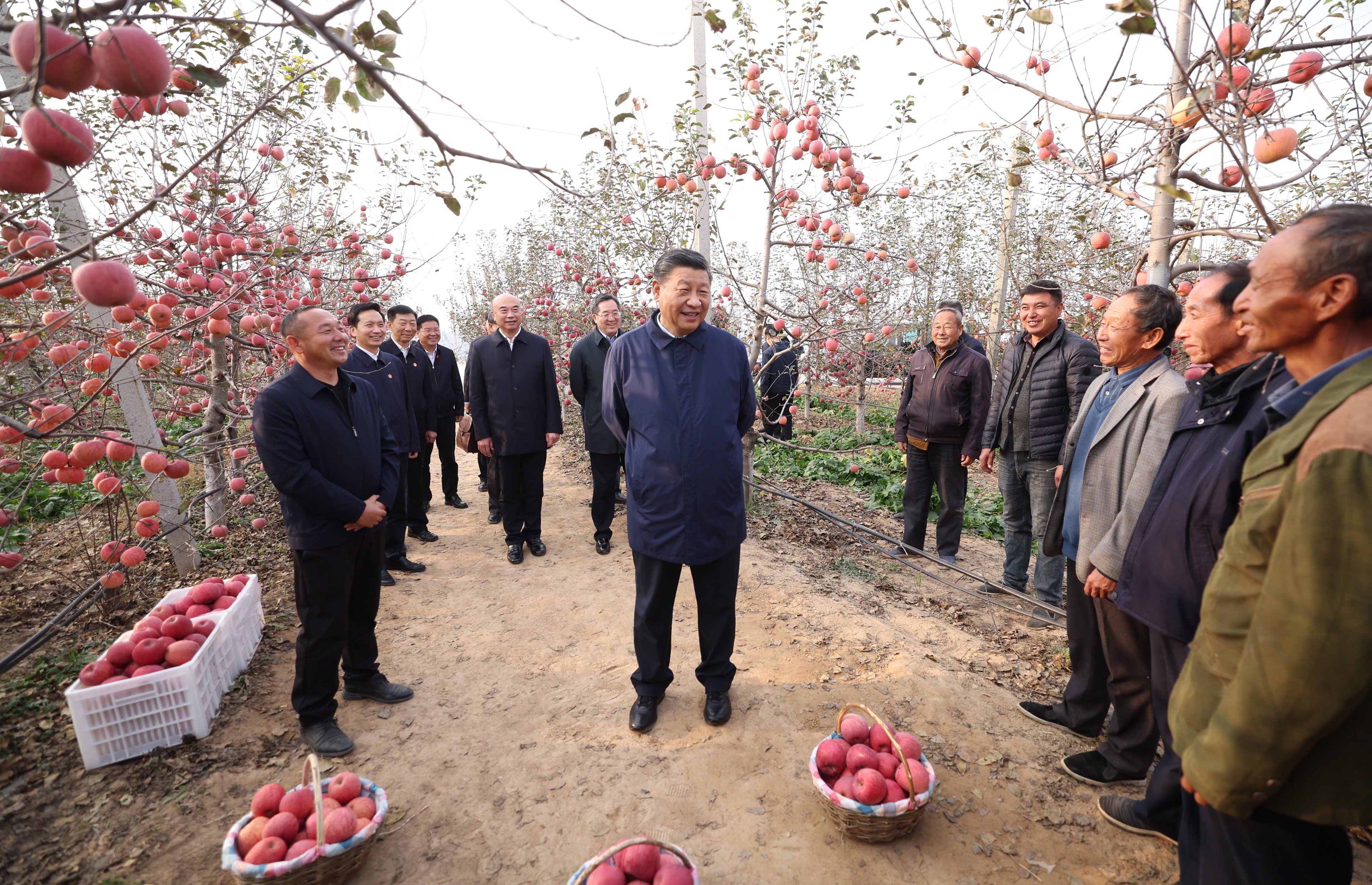 习近平在陕西延安和河南安阳考察时强调 全面推进乡村振兴 为实现农业农村现代化而不懈奋斗 丁薛祥陪同考察