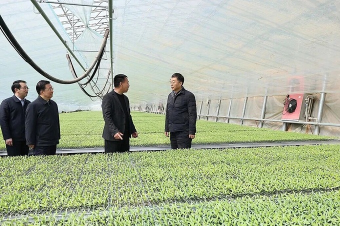 刘宁到内黄县安阳县调研推动工作时强调 毫不放松抓好粮食生产 全力夯实夏粮丰收基础